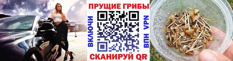 Галлюциногенные грибы GOLDEN TEACHER  мега как зайти  Псков 