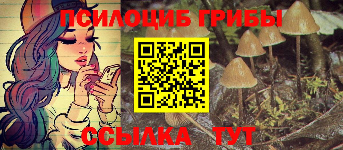 Галлюциногенные грибы мухоморы Псков