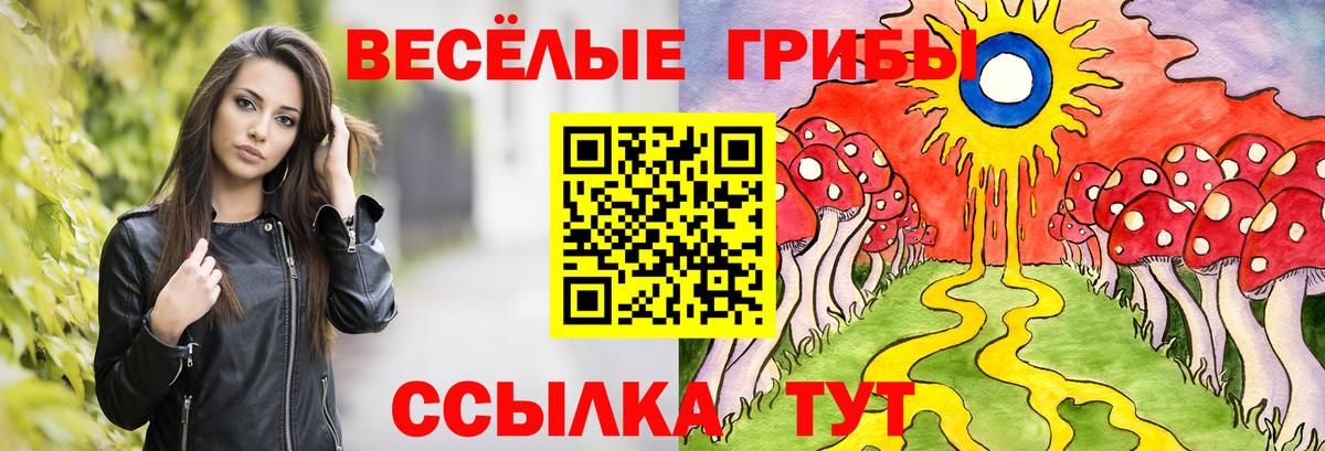 Псков  Псилоцибиновые грибы Psilocybine cubensis  Псилоцибиновые грибы GOLDEN TEACHER  Вход с VPN 