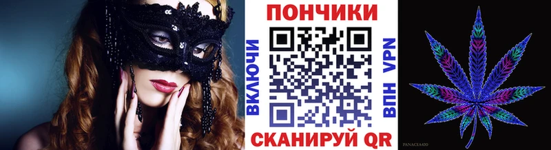 где можно купить   Псков  Конопля план 